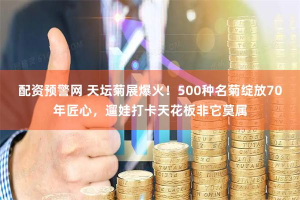 配资预警网 天坛菊展爆火!500种名菊绽放70年匠心,遛娃打卡天花板非它莫属